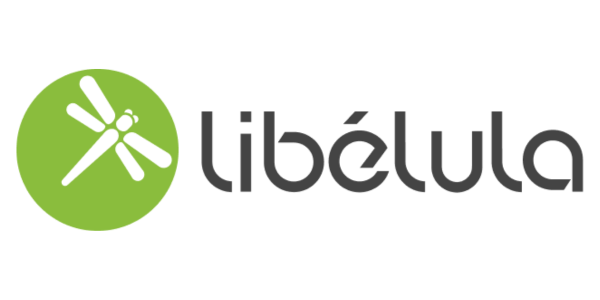 Libélula